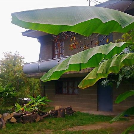 Farmer'S Guest House تأيلافي المظهر الخارجي الصورة