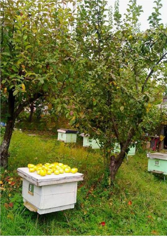 Farmer'S Guest House تأيلافي المظهر الخارجي الصورة