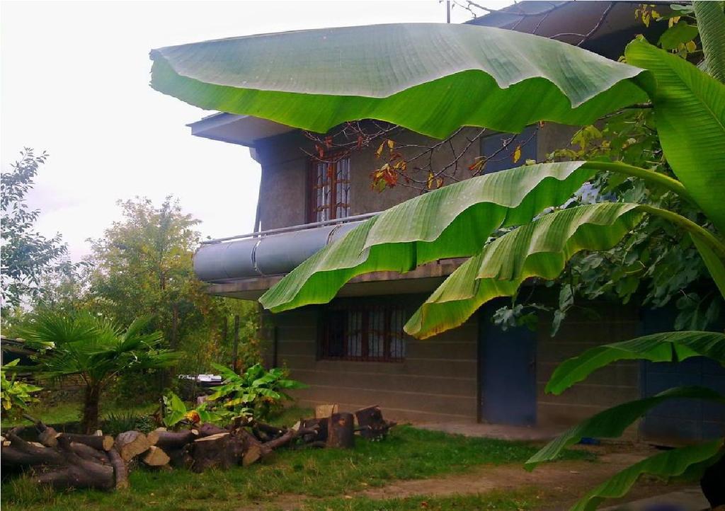 Farmer'S Guest House تأيلافي المظهر الخارجي الصورة